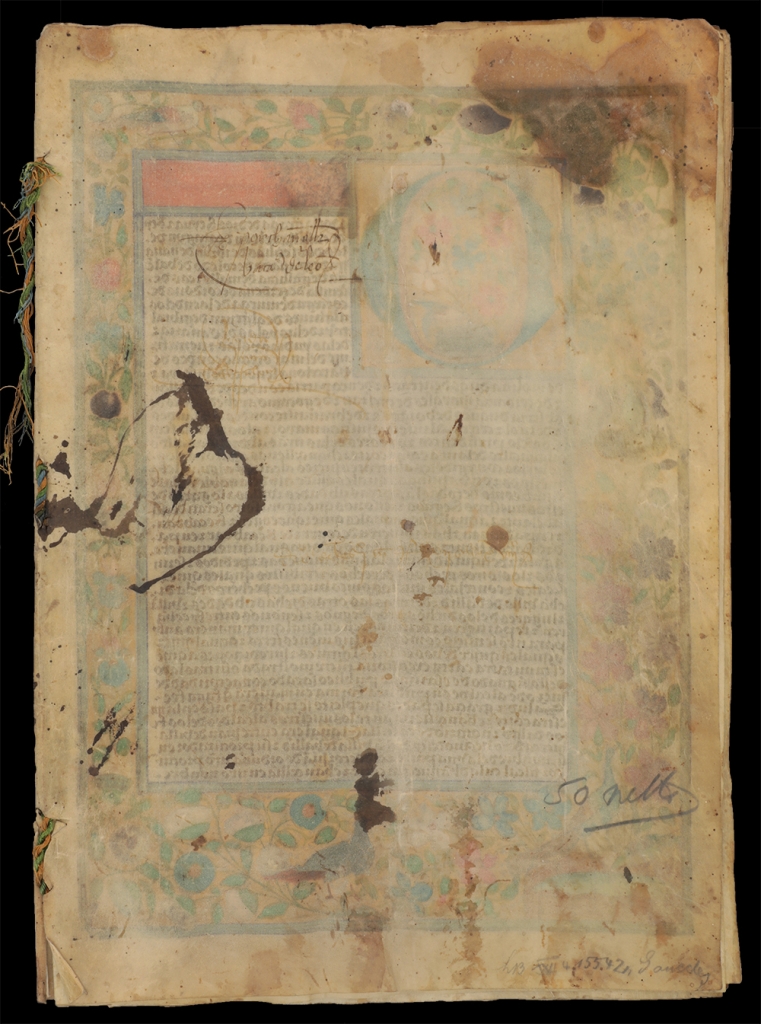 Ко Дню коллекционера. Дворянская грамота Хуана де Вилья (лист 1)